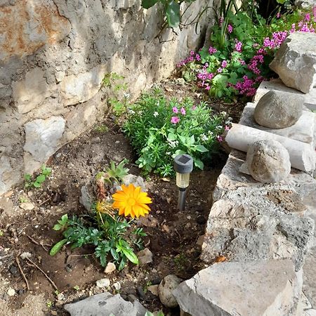 Apartmani Sanja شيبينيك الغرفة الصورة