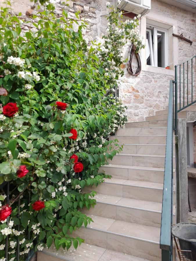 Apartmani Sanja شيبينيك المظهر الخارجي الصورة